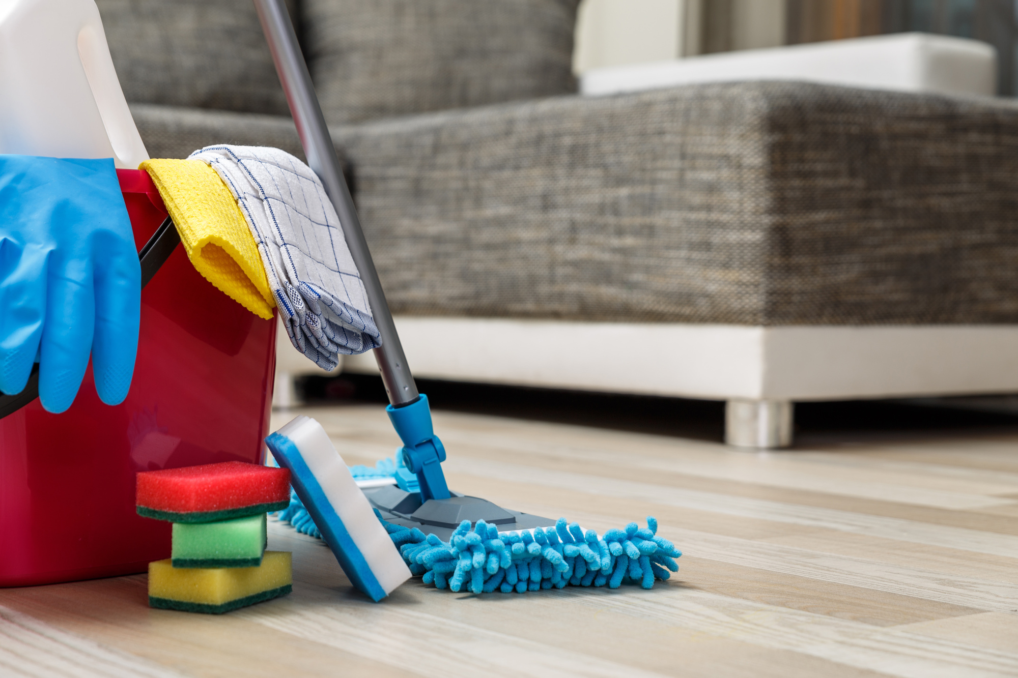 Professional Condo Cleaning Services